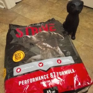 Strive 4 health 46lbs Dog Food